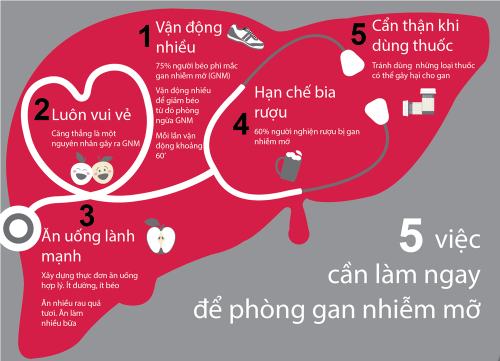 5 việc cần làm đề phòng gan nhiễm mỡ.