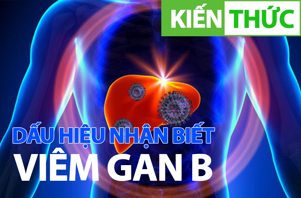 Bạn cần biết những thông tin cơ bản về viêm gan siêu vi B