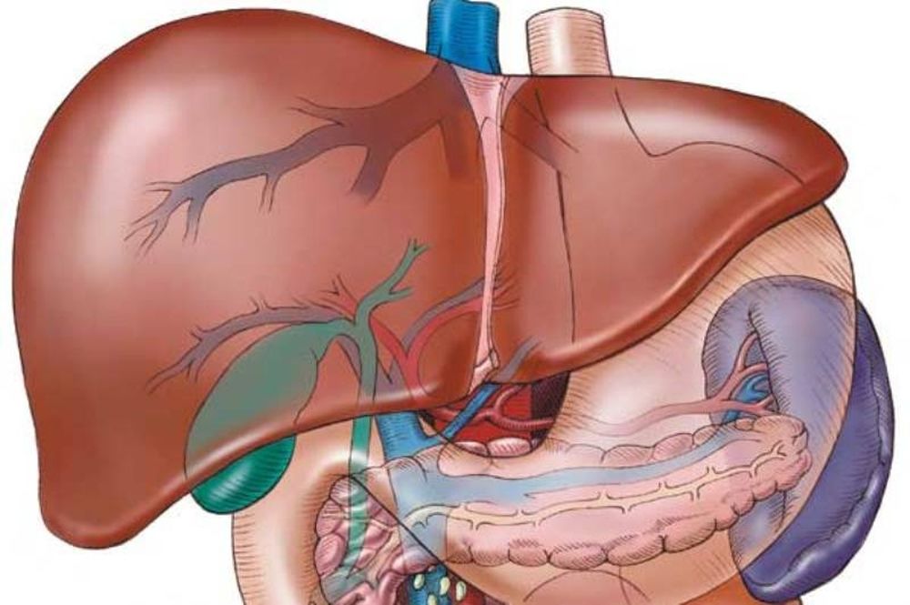 Viêm gan cấp là một trong những nguyên nhân gây vàng da