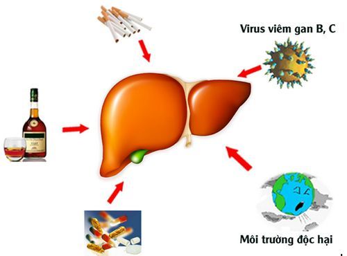 viêm gan b cấp