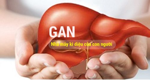 Bảo vệ cơ thể khỏi viêm gan