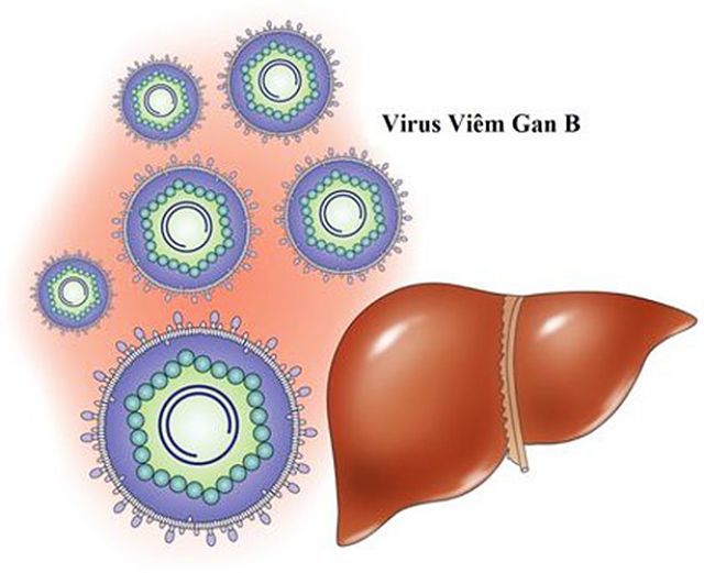 Virus gây ra bệnh viêm gan B nguy hiểm