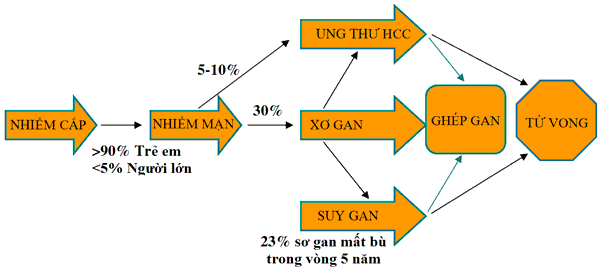 Bệnh viêm gan virus mạn và những thông tin cần biết