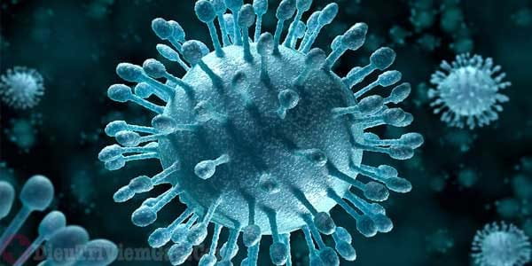 Nhiễm virus viêm gan C sống được bao lâu?